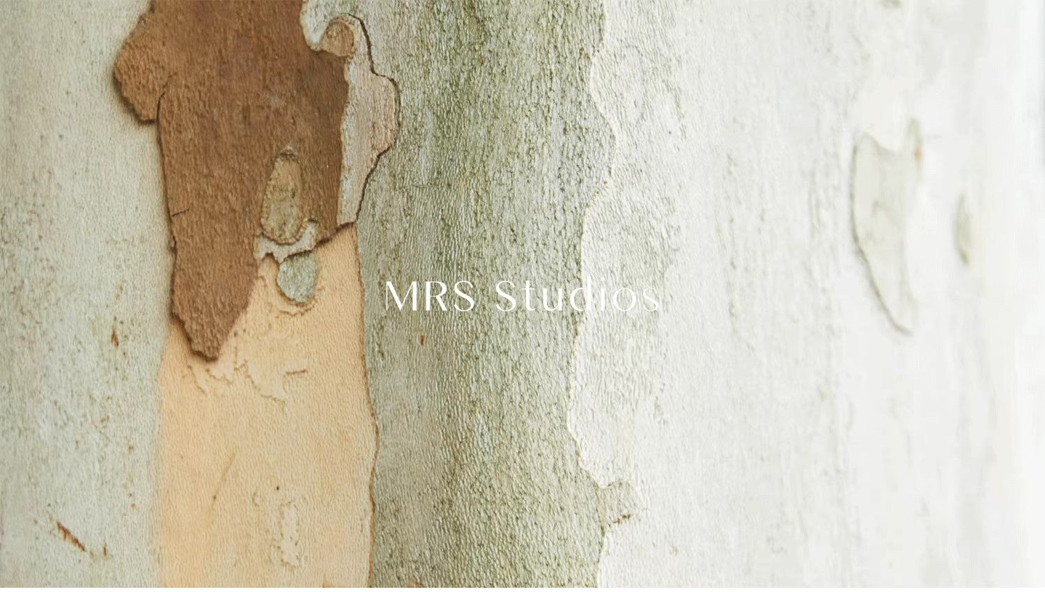 MRS Studios